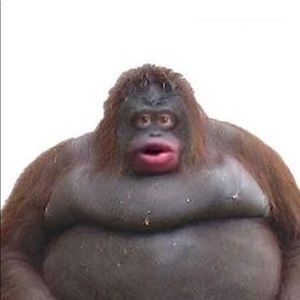 Meet your Posher, Jaden